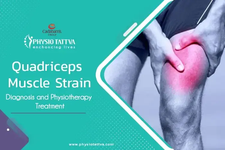 Quadriceps Muscle Strain|Diagnosis and Physiotherapy Treatment